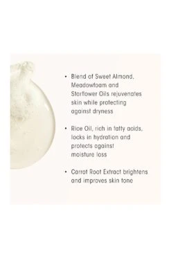 Oribe Valley Of Flowers Replenishing Body Wash Refill 12 Oribe Valley Of Flowers Replenishing Body Wash Refill -Oribe ORIB WU250 V3